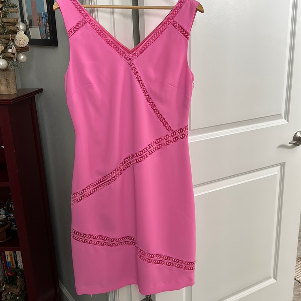 NWT Banana Republic Gorgeous Pink dress with lace detail dress